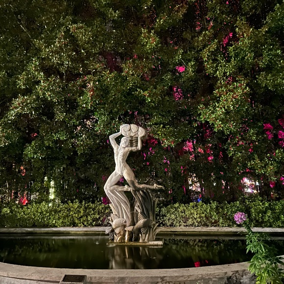 Meet your Posher, Laura - Picture 3 of 5